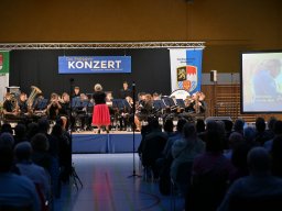 Movies in Concert - 2024