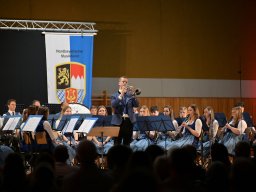 Movies in Concert - 2024